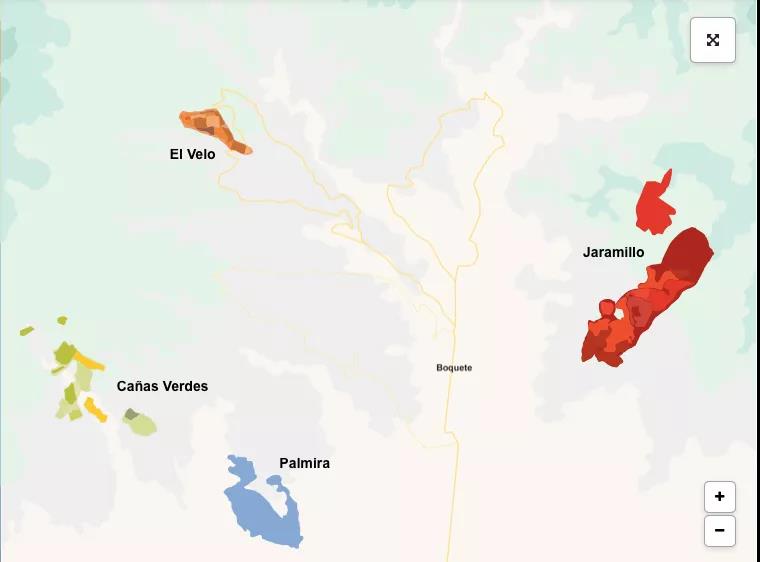 Comparison of flavor characteristics of red standard, green standard and blue standard in the origin story of rose summer coffee beans in Panamanian jadeite manor