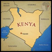 Why is Kenyan coffee getting more expensive but less flavorful than it used to be? Kenya Marseilles aa coffee beans are boiled