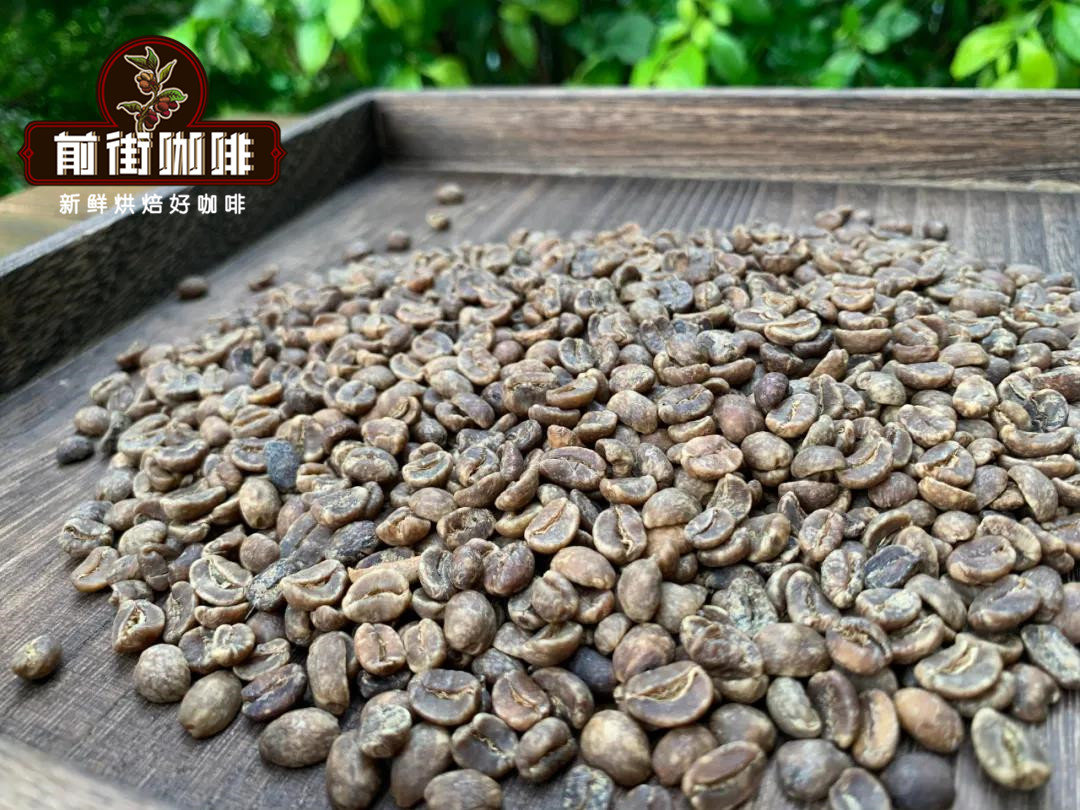What are the coffee beans in Oaxaca, Mexico? where are the best coffee beans in Mexico?
