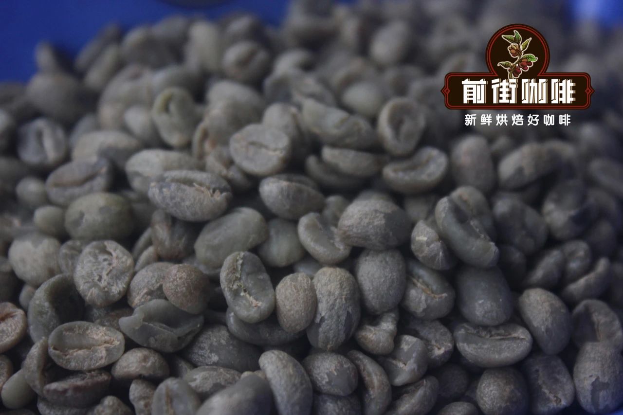 Qianjie Yunnan Iron Card Fine Coffee Bean Yunnan small Coffee Bean how to make Yunnan Coffee Powder