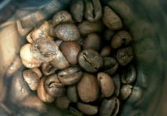 Coffee treatment | what is Simon's special treatment? Essegugu Adora coffee bean watermelon flavor