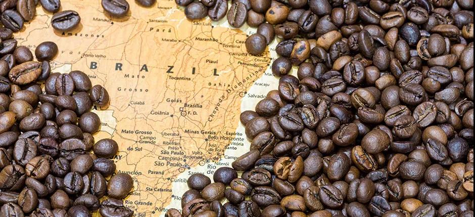 Brazilian coffee producing area information Brazilian coffee company is suspected of evading and profiting from tax evasion
