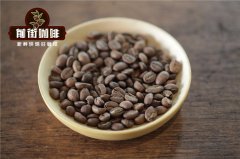 There are wrinkles on the surface of coffee beans. Are they defective beans? The reason for the oil on the surface of coffee beans?