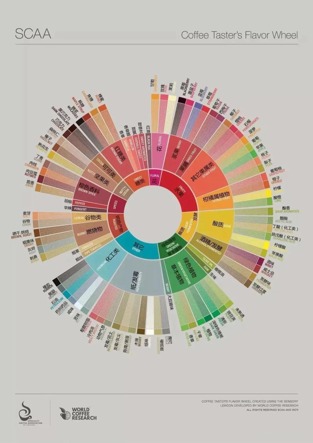 How to use the coffee flavor wheel correctly? what is the difference between the old coffee flavor wheel and the new coffee flavor wheel?