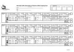 What is the difference between the cup meter of COE and the coffee cup meter of SCAA?