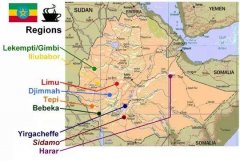 Ethiopia Coffee bulk Commercial Bean producing area: Gima 06