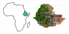 Ethiopia Coffee bulk Commercial Bean producing area: Tana Lake (alternative producing area) 09