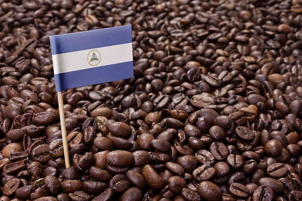 COE Coffee auction of Nicaraguan COE coffee beans in 2021 will start Nicaraguan coffee prices