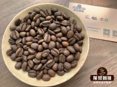 Comparison of coffee beans and small grain coffee beans newly produced in Ethiopia in 2021