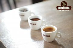 Is SOE coffee good? What are its characteristics? SOE espresso beans why light roast how to make?
