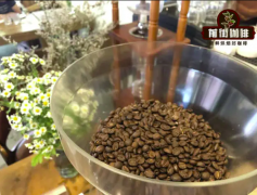 How much is a bean grinder? How to choose a bean grinder that suits you