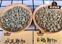 Yega Xuefei Coffee Bean producing area and its treatment the taste characteristics of Yega Xuefei how to cook it to taste good