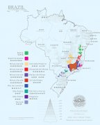 Introduction to the treatment and grading of coffee beans in Brazil the taste and flavor characteristics of Huangbourne in Queen's Manor