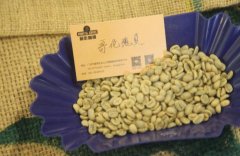 History and Flavor Characteristics of Central American and Ethiopian Summer Coffee Beans