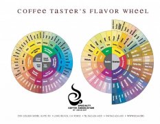 Various Coffee Flavor Wheel inventory Coffee Flavor Wheel how to describe Coffee with Flavor Round tasting