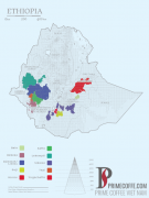 Coffee producing country Ethiopia | what is the grade standard of fine coffee beans G1 Q1 and its new rules