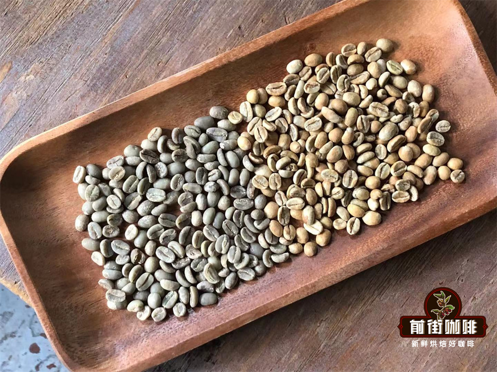 Differences in flavor of coffee beans treated by sun and water washing suggestions on roasting coffee beans with different treatments