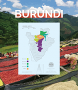 History and Culture of Coffee beans in Burundi what is the mode of transportation and sales of coffee agricultural production and development