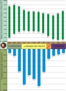 Geographical environment of Honduran coffee producing area in Central and South America cup test of Honduran coffee bean varieties