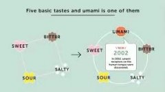What is the umami flavor in coffee beans? How to describe the aroma and flavor of hand-brewed coffee