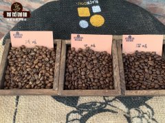 The difference between light-roasted coffee and deep-roasted coffee how to drink the coffee beans in the right amount?