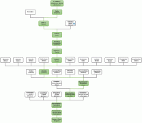 Coffee Bean Species Arabica and Robusta Coffee Bean Relationship Wild Coffee Tree Distribution and Characteristics