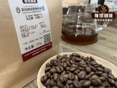 The difference between Coffee beans 6.0 and 5.0 Coffee beans introduction to Ethiopian small Coffee beans