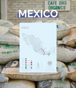 The flavor and taste characteristics of Mexican champion coffee beans describe the story of Mexican coffee producing areas and recommend brands.