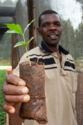 Classification of Ugandan coffee beans in Uganda, the second largest coffee producer in Africa