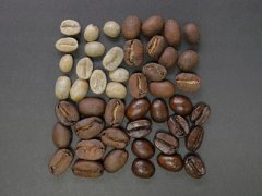 What is Agtron? What is the effect of different readings of coffee roasting color classification on coffee flavor and taste
