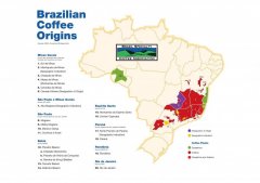 Brief introduction of coffee producing country Brazil what are the advantages and disadvantages of historical strip picking of Brazilian coffee beans?