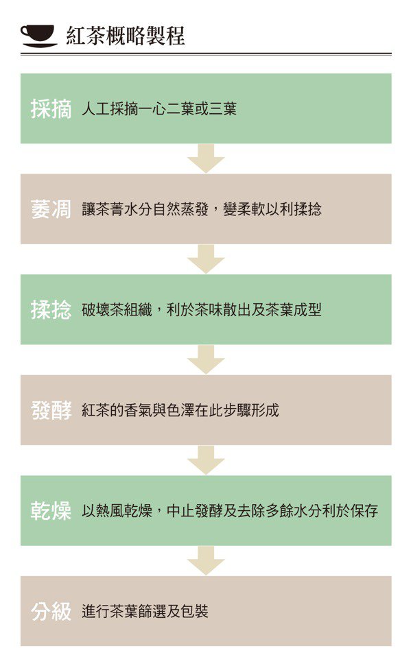 What's the difference between black tea, green tea and oolong tea?