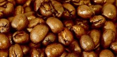 Why are Kona coffee beans famous for the five growth factors round beans are? Authentic Kona coffee bean flavor