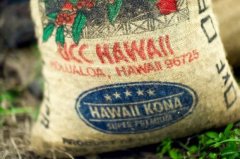 Kona, why is coffee so expensive? Coffee Bean Cup Test report of Queens Manor, Hawaii for three reasons