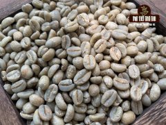 Is there a shelf life for raw coffee beans? How long is its shelf life?