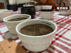Coffee cup test detailed process introduction coffee cup test steps analysis coffee cup test preparation