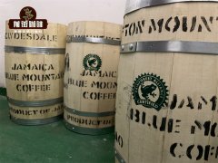 What is Blue Mountain Coffee? Is Blue Mountain Coffee Rainforest Alliance Certified Coffee?