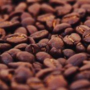 Is black coffee ground directly from coffee beans? Instant coffee VS pre-ground coffee freeze-dried instant coffee?