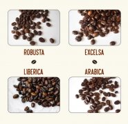 How many kinds of coffee beans are there? Different types of black coffee introduce mocha pot black coffee will be stronger? How?