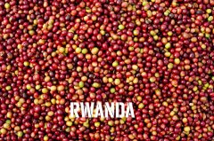 What is a microbatch of coffee? Description of characteristics, flavor and taste of Rwanda micro-batch boutique coffee beans