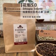 Characteristics of growing Environment of Coffee Bean Mountain Spring processing method Sidamo Fakui Coffee in Ethiopia