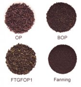 The grading standard and classification of black tea what is the meaning of FOP and BOP in black tea which grade is higher?