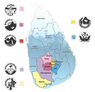 Differences in the characteristics of black tea from highland, middle and lowland in Sri Lanka