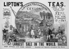 Where is the most famous brand of Ceylon black tea produced? the historical story of Sri Lanka, the country where Ceylon black tea is produced.