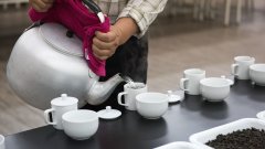 Tea sensory evaluation correct tea set equipment requirements guide to the process of evaluating tea