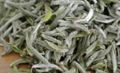 The difference of Taste characteristics between Fuding White Tea and Yunnan White Tea