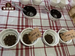 Does the coffee cup test produce fine coffee? how does the flavor wheel help the coffee cup test?