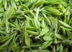 What kind of tea is Daye green tea? where is it from? What are the more famous varieties of tea in Guangdong?