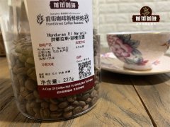 Why are boutique coffee beans recommended? Recommendation of brewing parameters of fine coffee