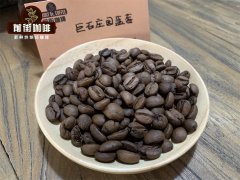 What's the difference between coffee powder and whole bean coffee? Advantages and disadvantages of coffee powder and coffee beans
